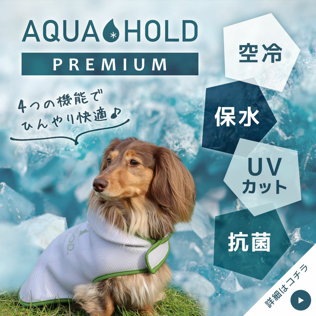 AQUAHOLD