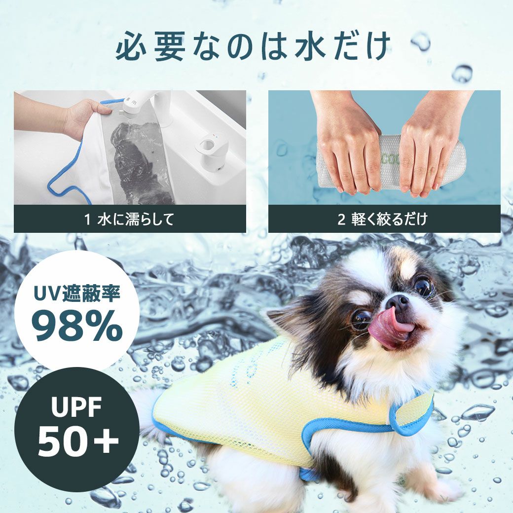 必要なのは水だけ！