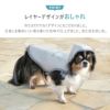 レイヤーデザインがおしゃれ