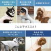 暑い日もたくさん遊びたいアクティブなワンコにピッタリ