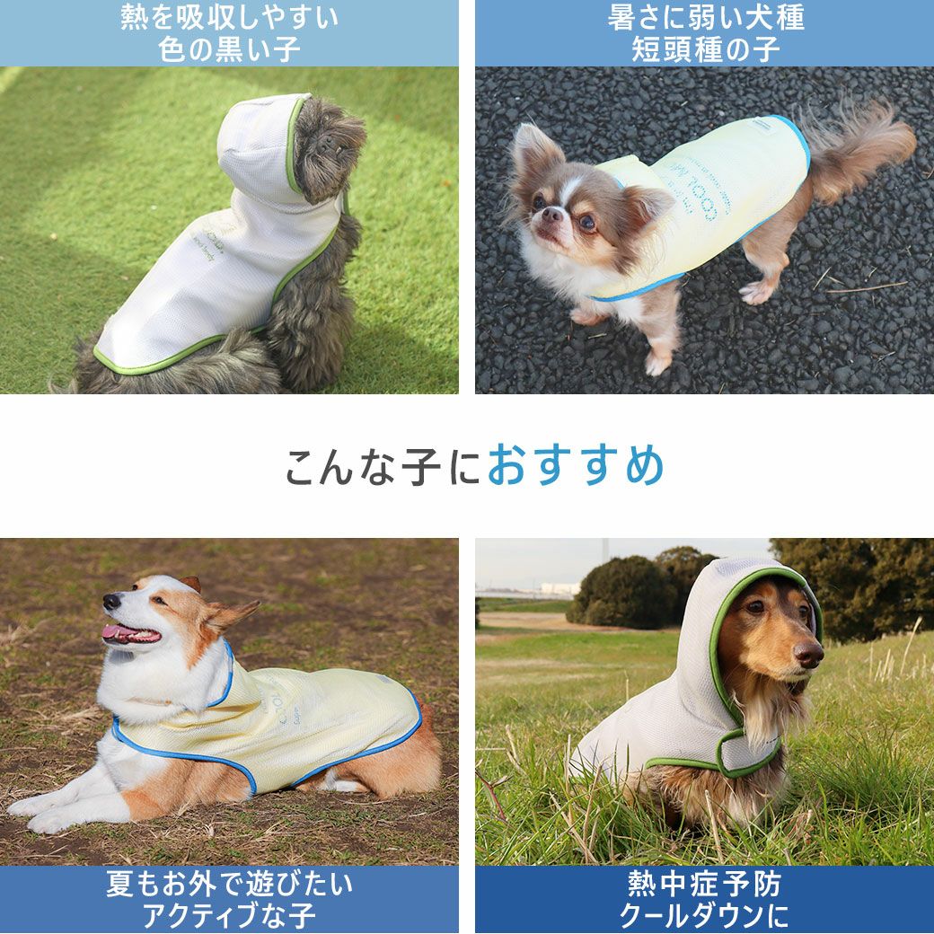 こんな子オススメ！