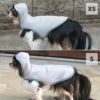 チワワ2.7kg(首23/胴35/丈26cm)のマルスくんはグレーのSを着用