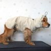 MIX12.0kg(首37/胴53/丈48cm)のはちみつちゃんはベージュのLarge-Sを着用