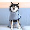 柴犬10.9kg(首42/胴58/丈43cm)のかんたくんはグレーのLarge-Sを着用
