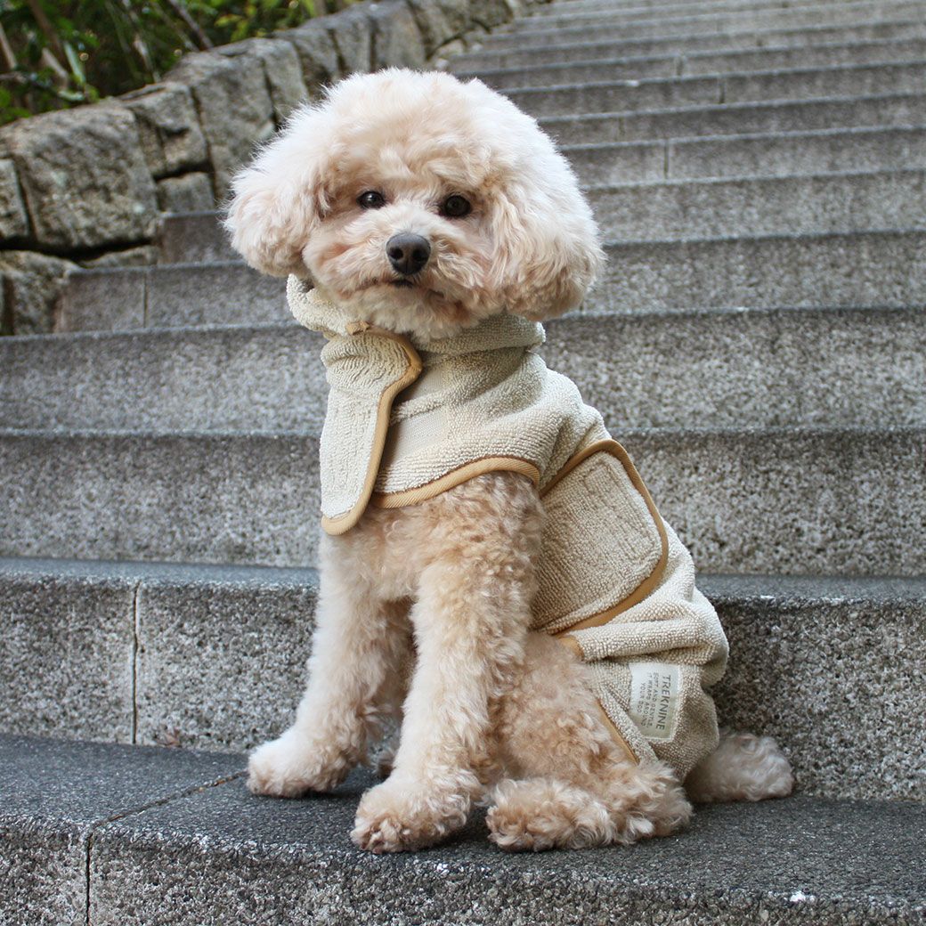 トイプー4.6kg(首25/胴40/丈34cm)のフク丸くんはベージュのMを着用