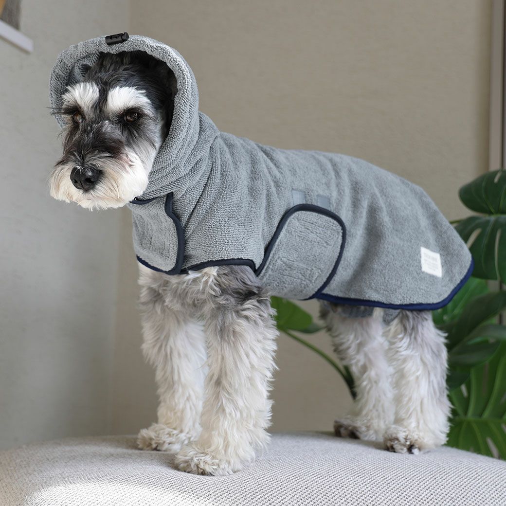 ミニチュアシュナウザー8.0kg(首30/胴48/丈37cm)のマハロくんはグレーのLを着用