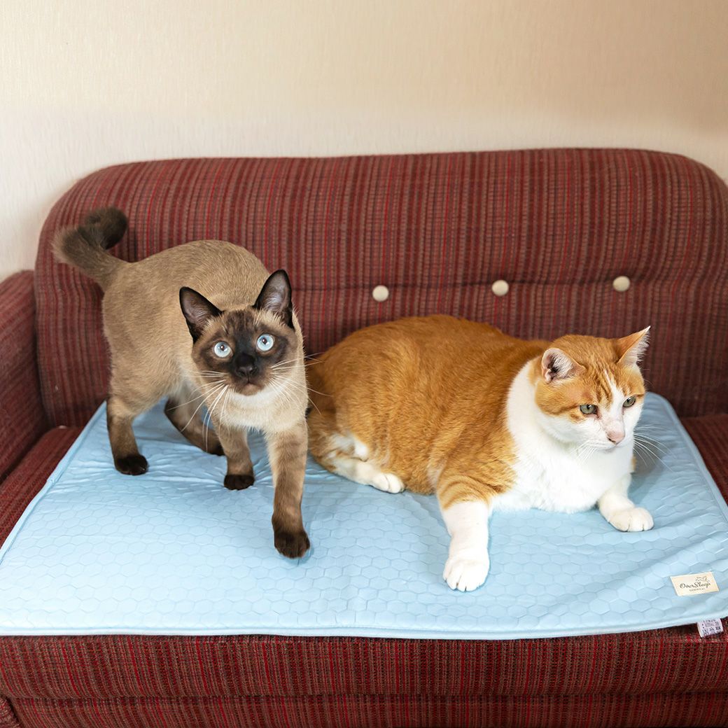 ウレタンシートが身体に優しくフィット