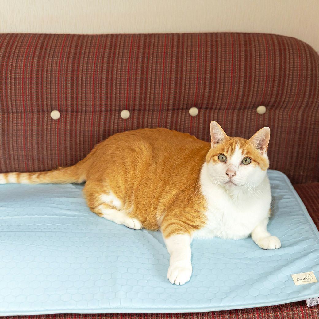 MIX8.6kgのゆづるくんが使用