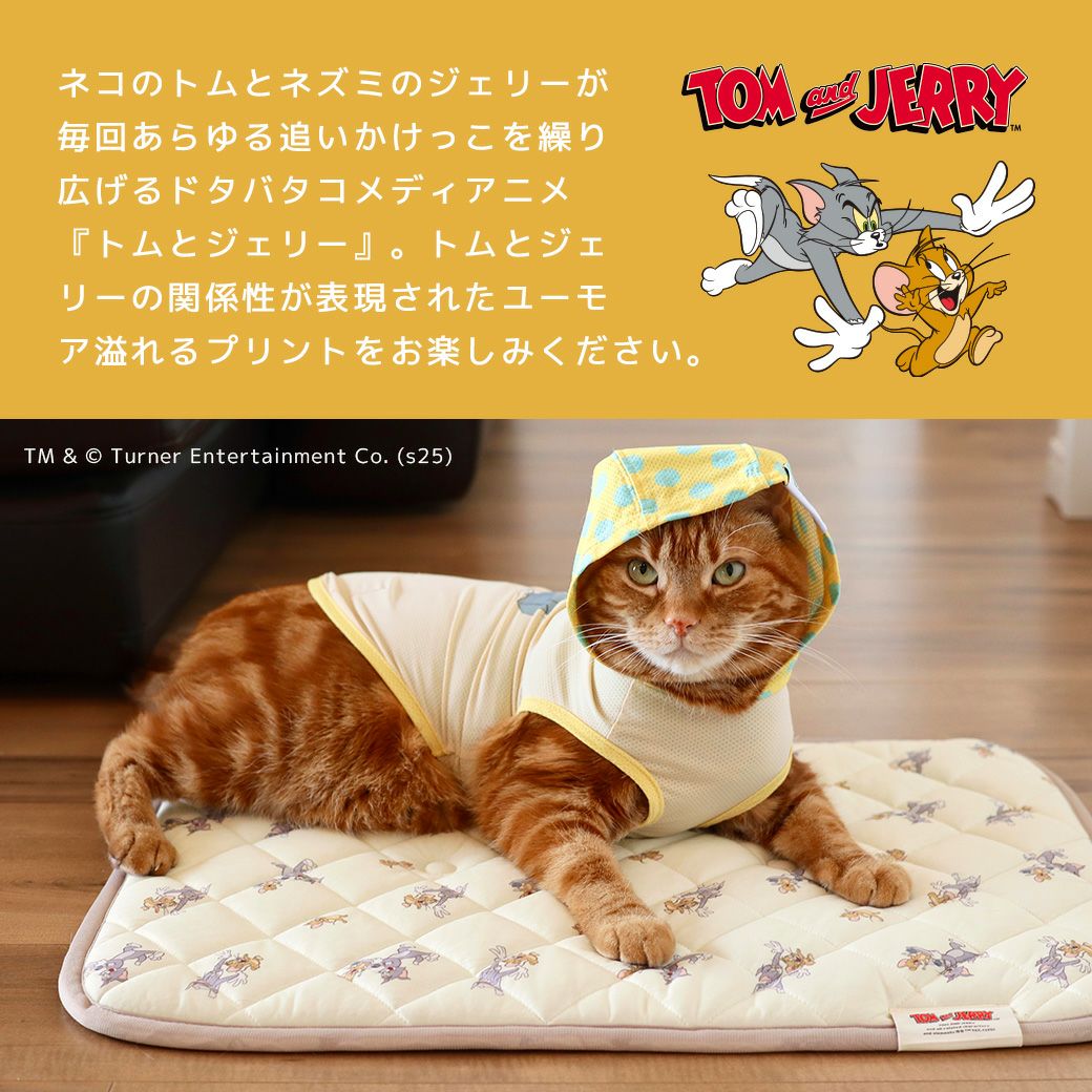 ドタバタコメディアニメ『トムとジェリー』