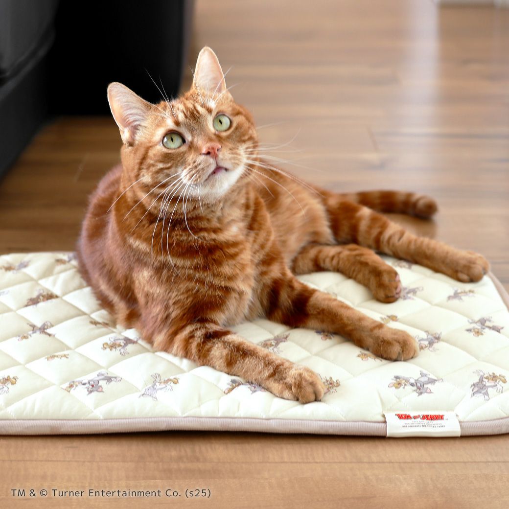 体に優しくフィット