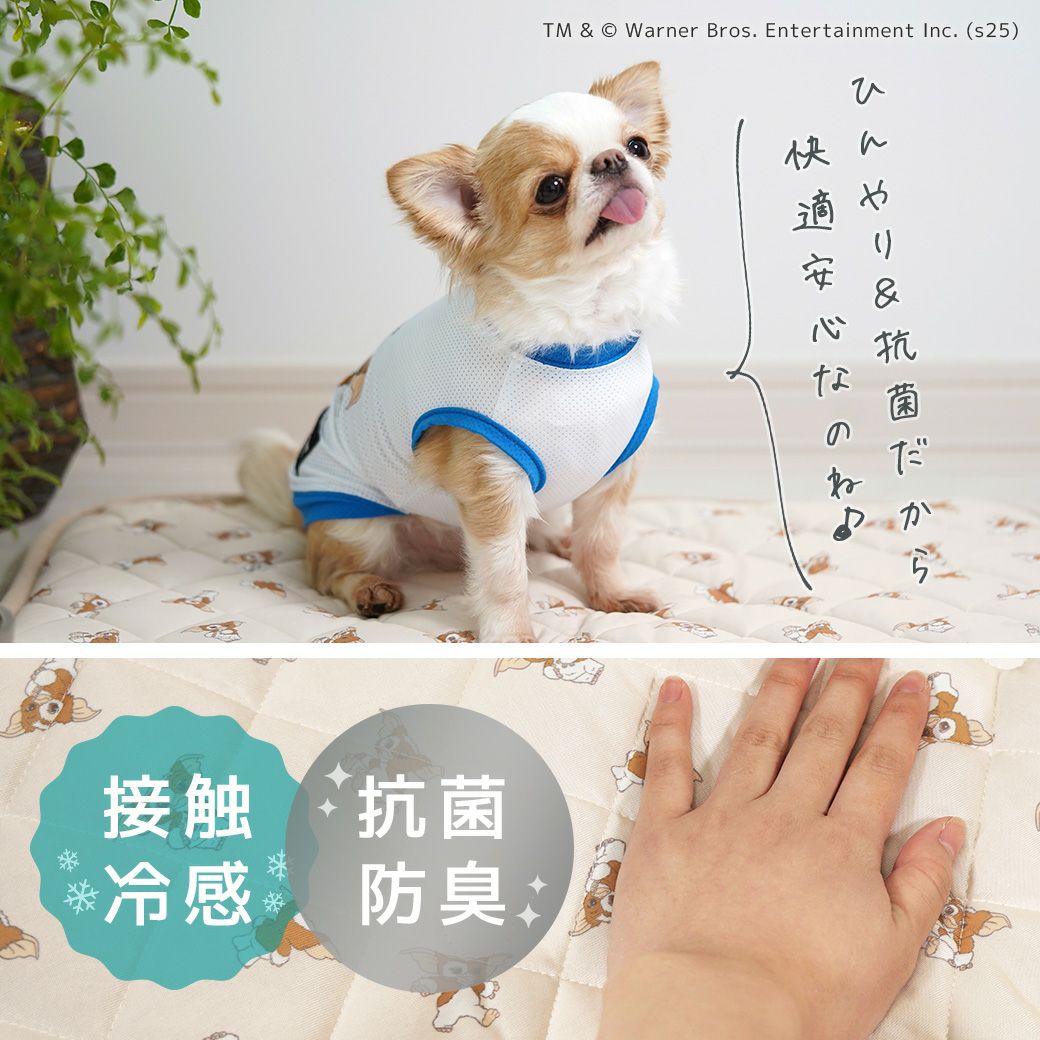 抗菌・防臭で夏も快適