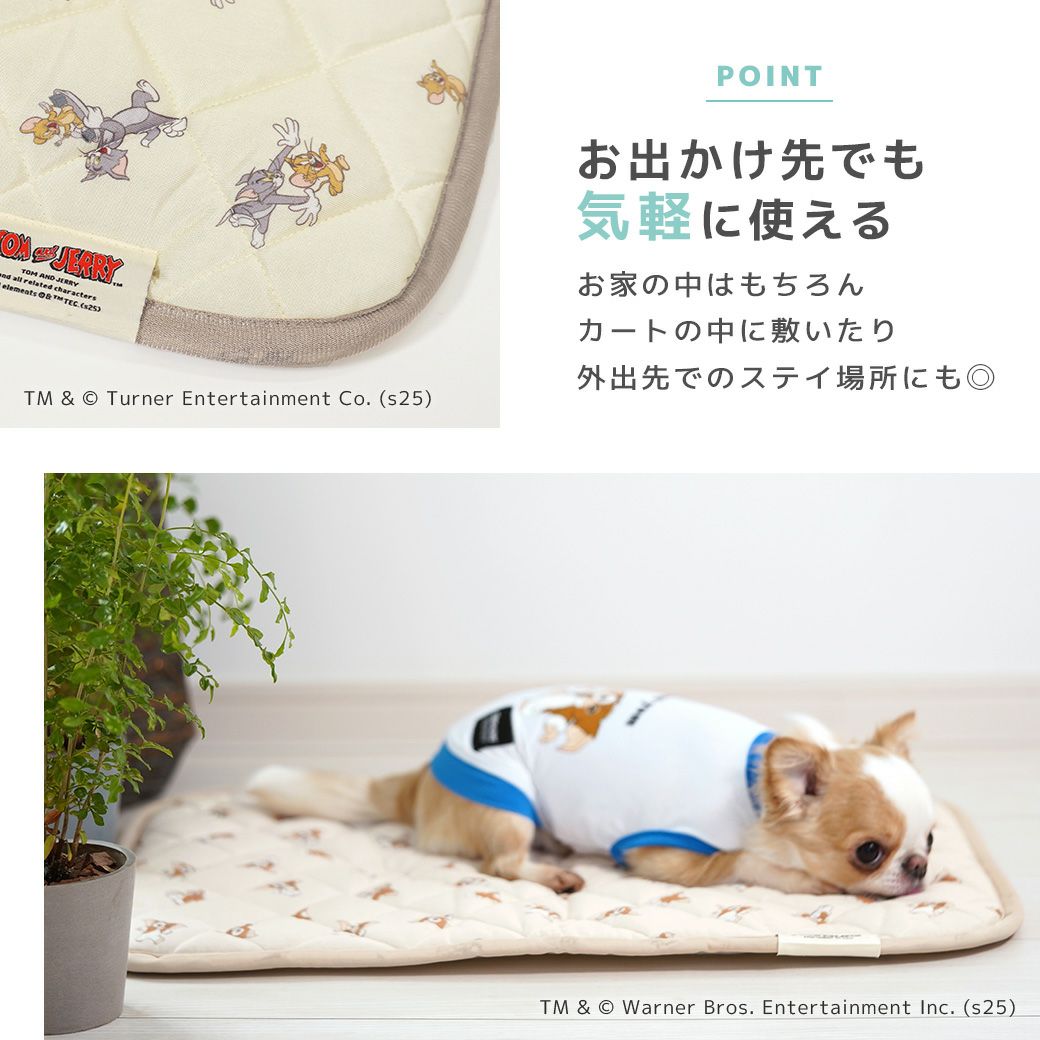 お出かけ先でも気軽に使える