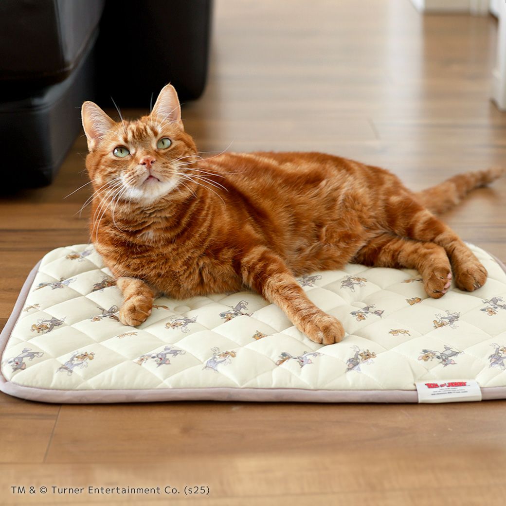 アメショ7.0kg(首28/胴48/丈28cm)のタラくんはトム&ジェリーを使用