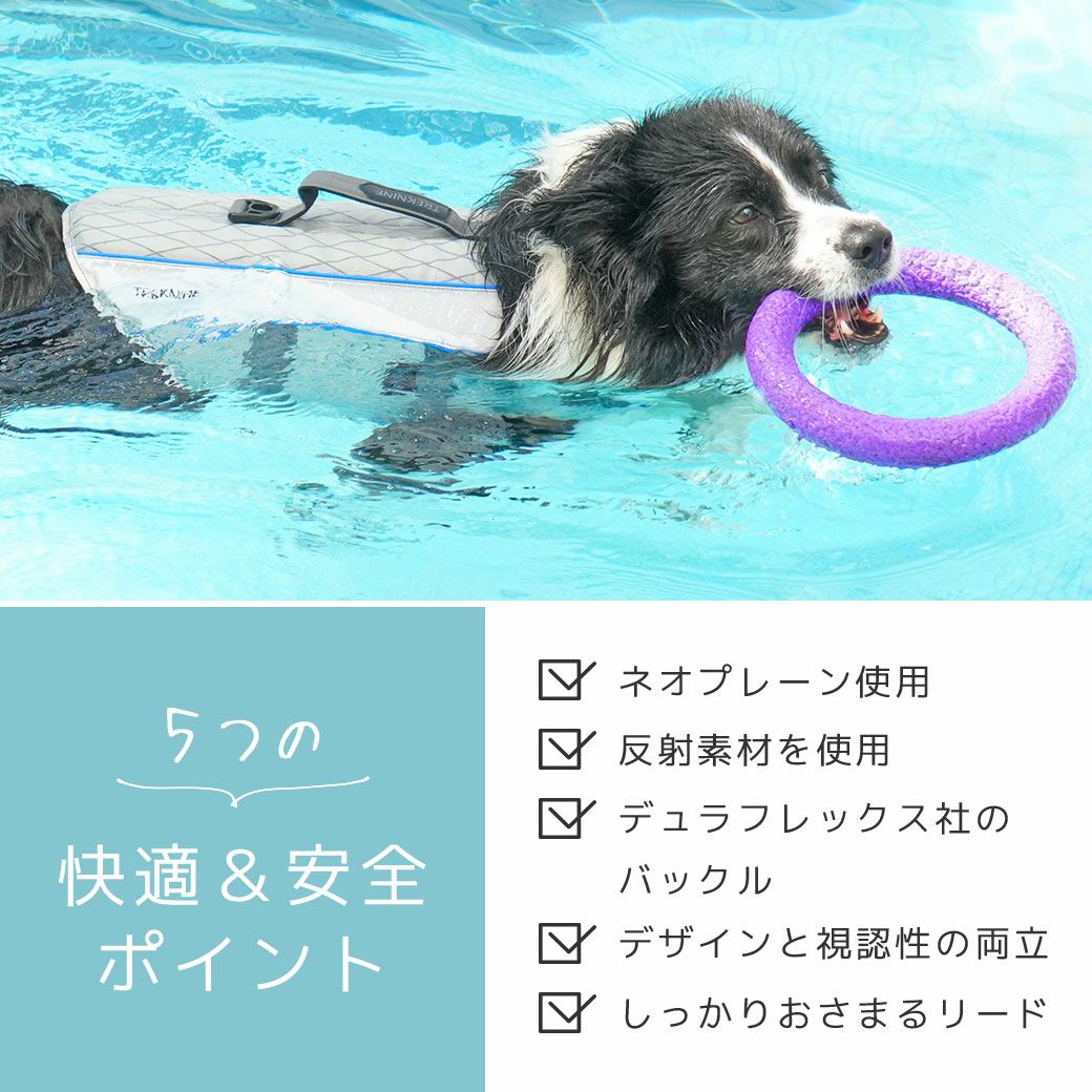 愛犬の快適性と安全性を重視
