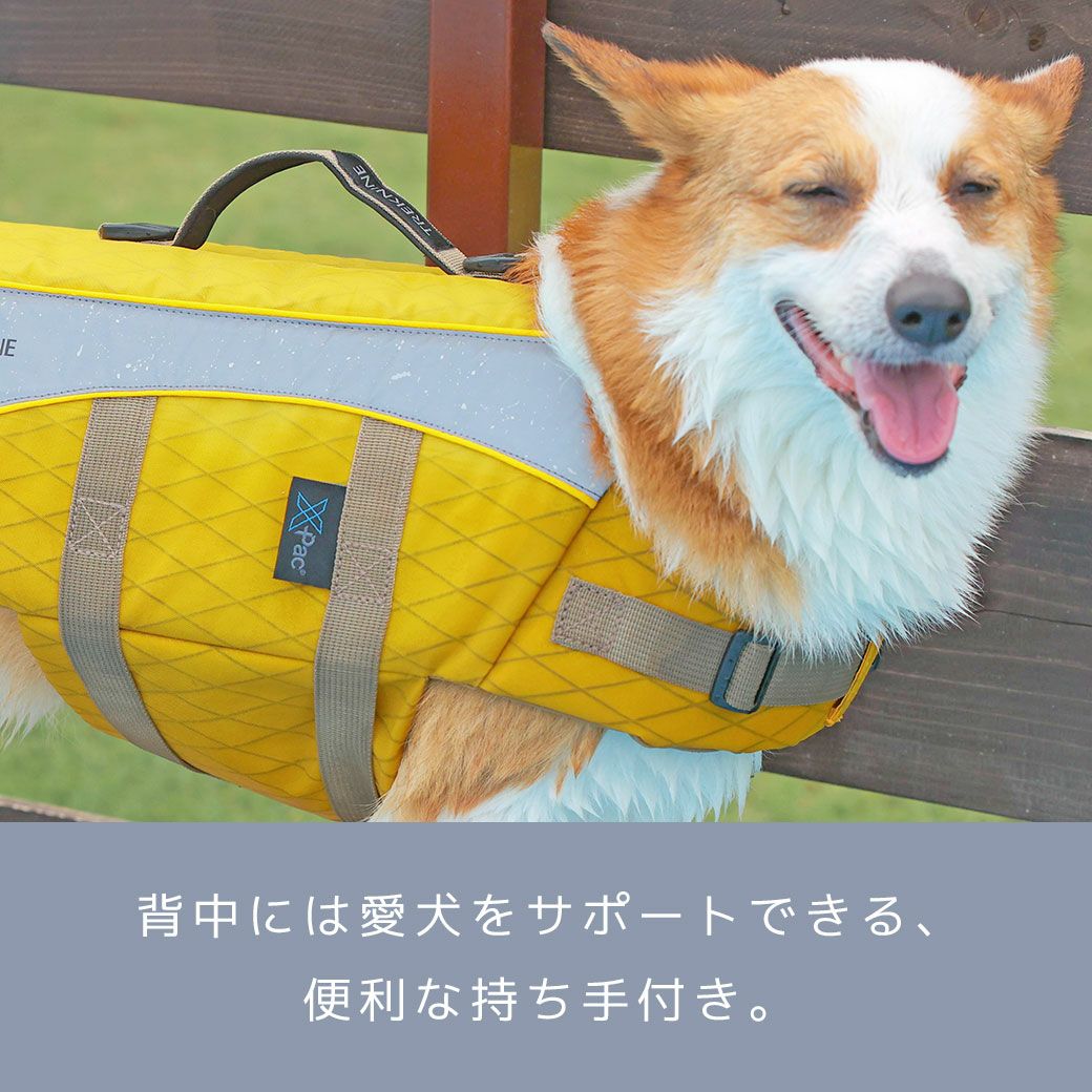 背中の持ち手が便利