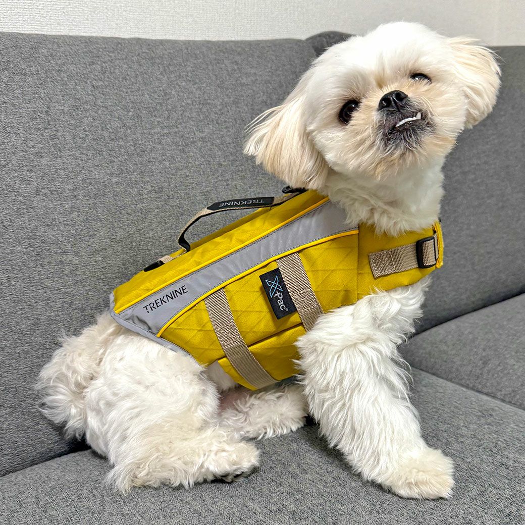 MIX4.2kg(首24/胴38/丈30cm)のとろろくんはマスタードのSを着用