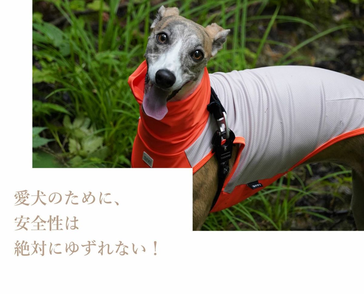 愛犬のために、安全性は絶対にゆずれない