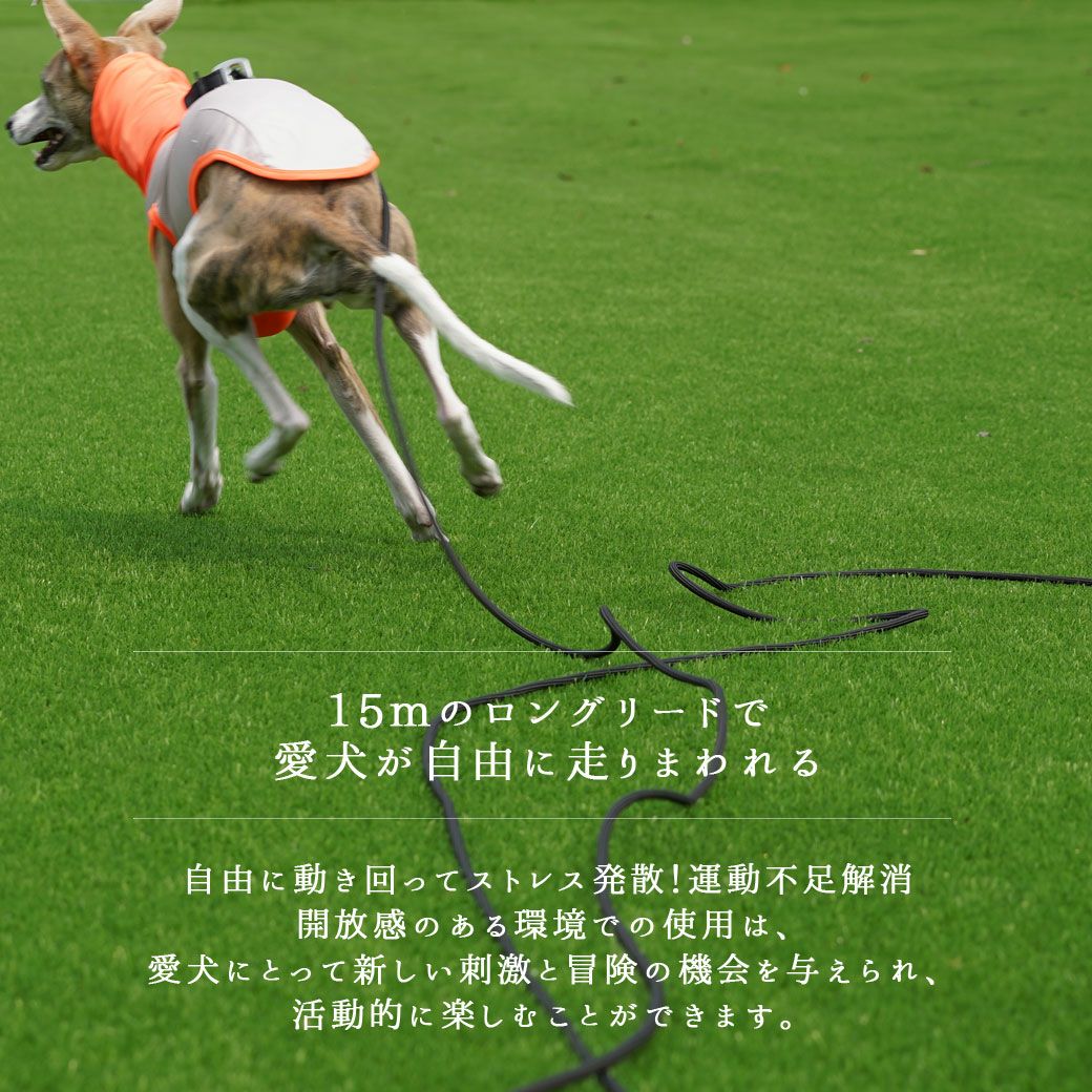 15mのロングリードで愛犬が自由に走り回れます。