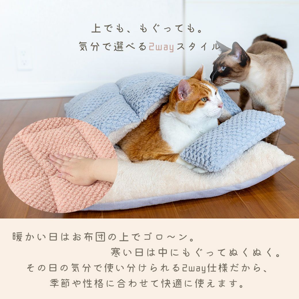 上でも、もぐっても。気分で選べる2wayスタイル