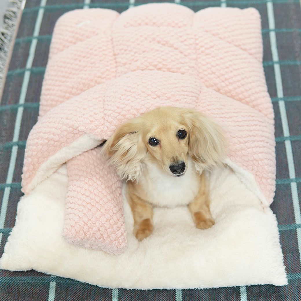 ミニチュアダックス3.9kg(首25/胴37/丈31cm)のクムちゃんはピンクを使用