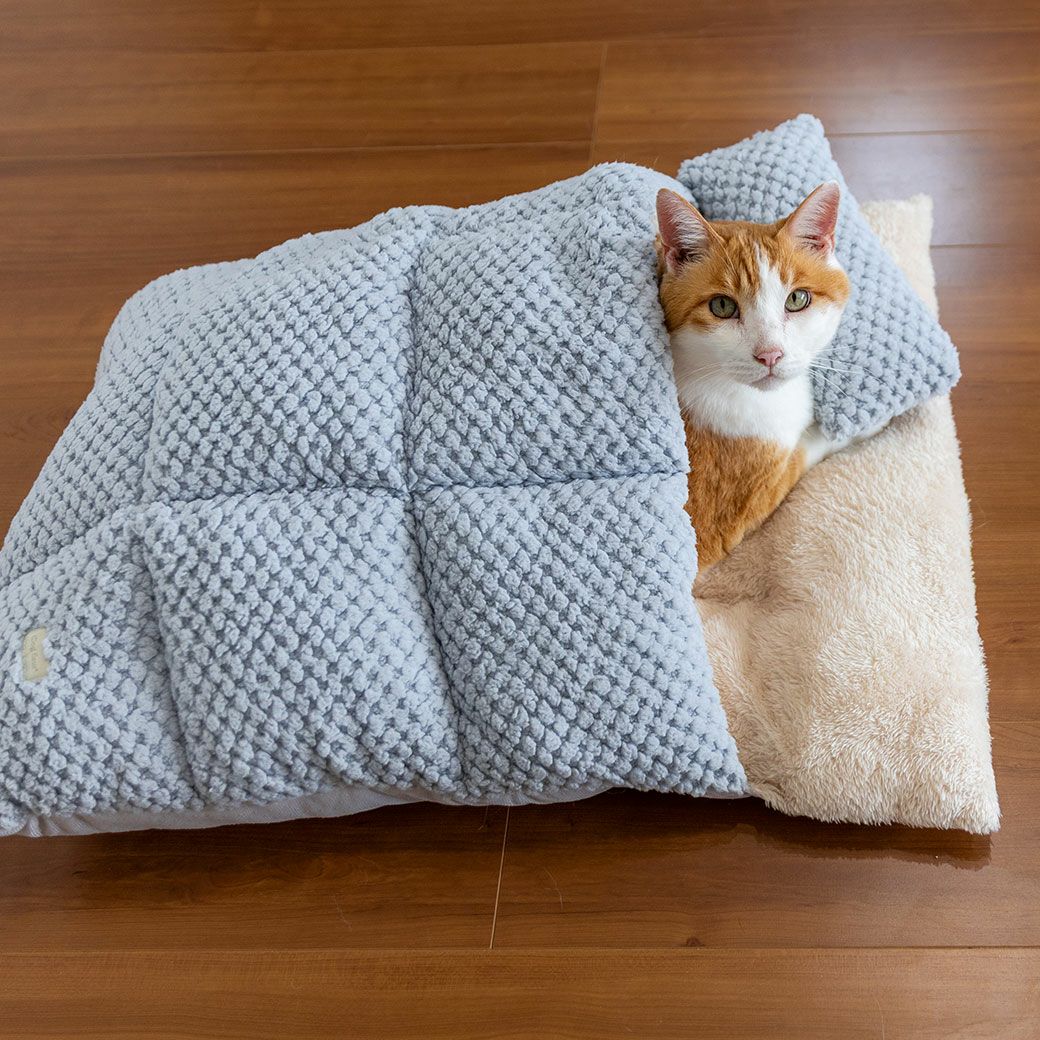 MIX8.6kg(首25/胴54/丈34cm)のゆづるくんはブルーを使用