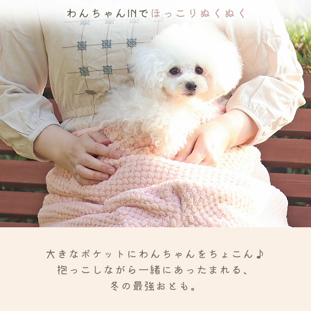 わんちゃんINでほっこりぬくぬく