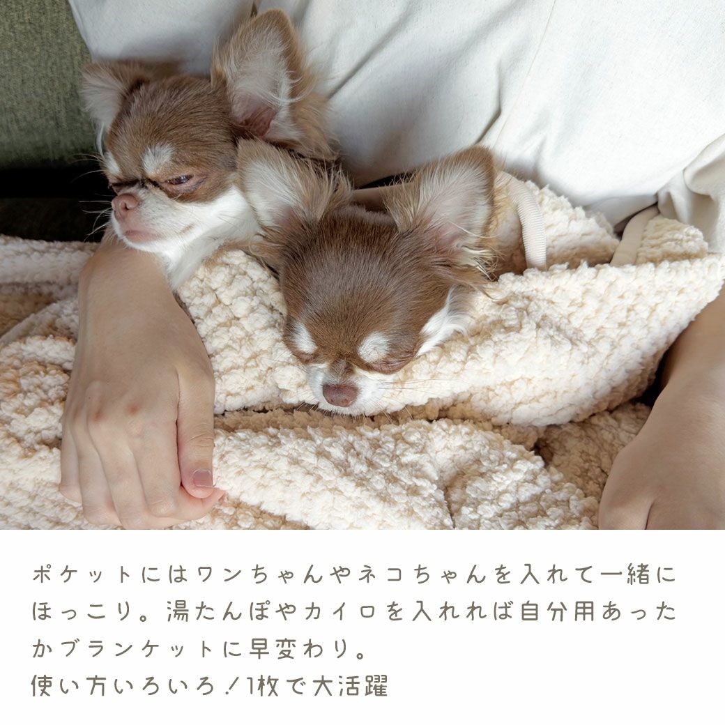 使い方いろいろ！1枚で大活躍