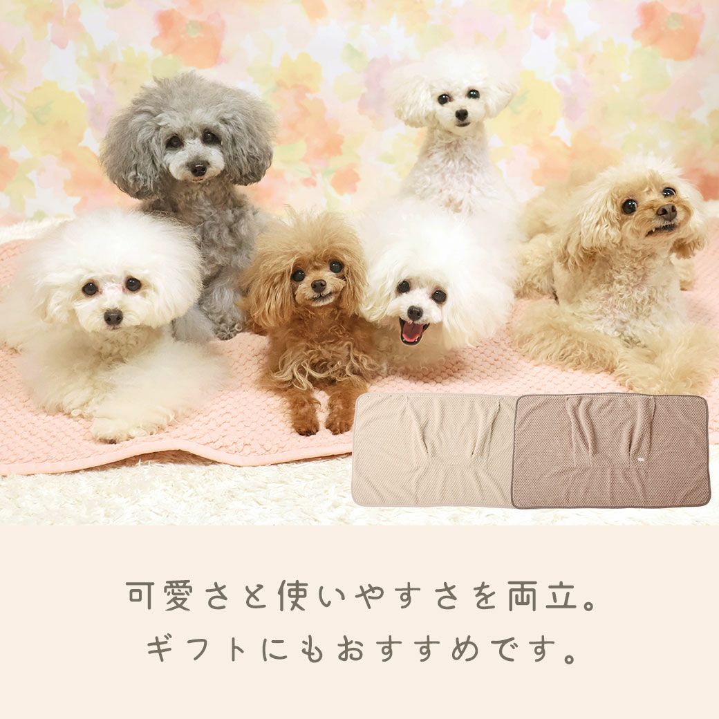 IDOG&ICAT iDog fleur 一緒にぬくぬくブランケット アイドッグ-犬猫