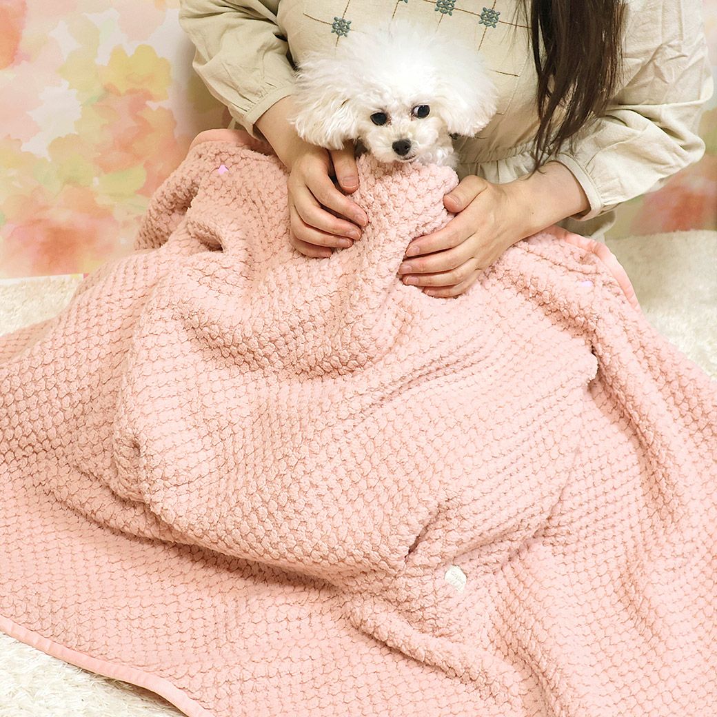 トイプー1.2kg(首15/胴26/丈19cm)のマユリちゃんはマカロンピンクを使用