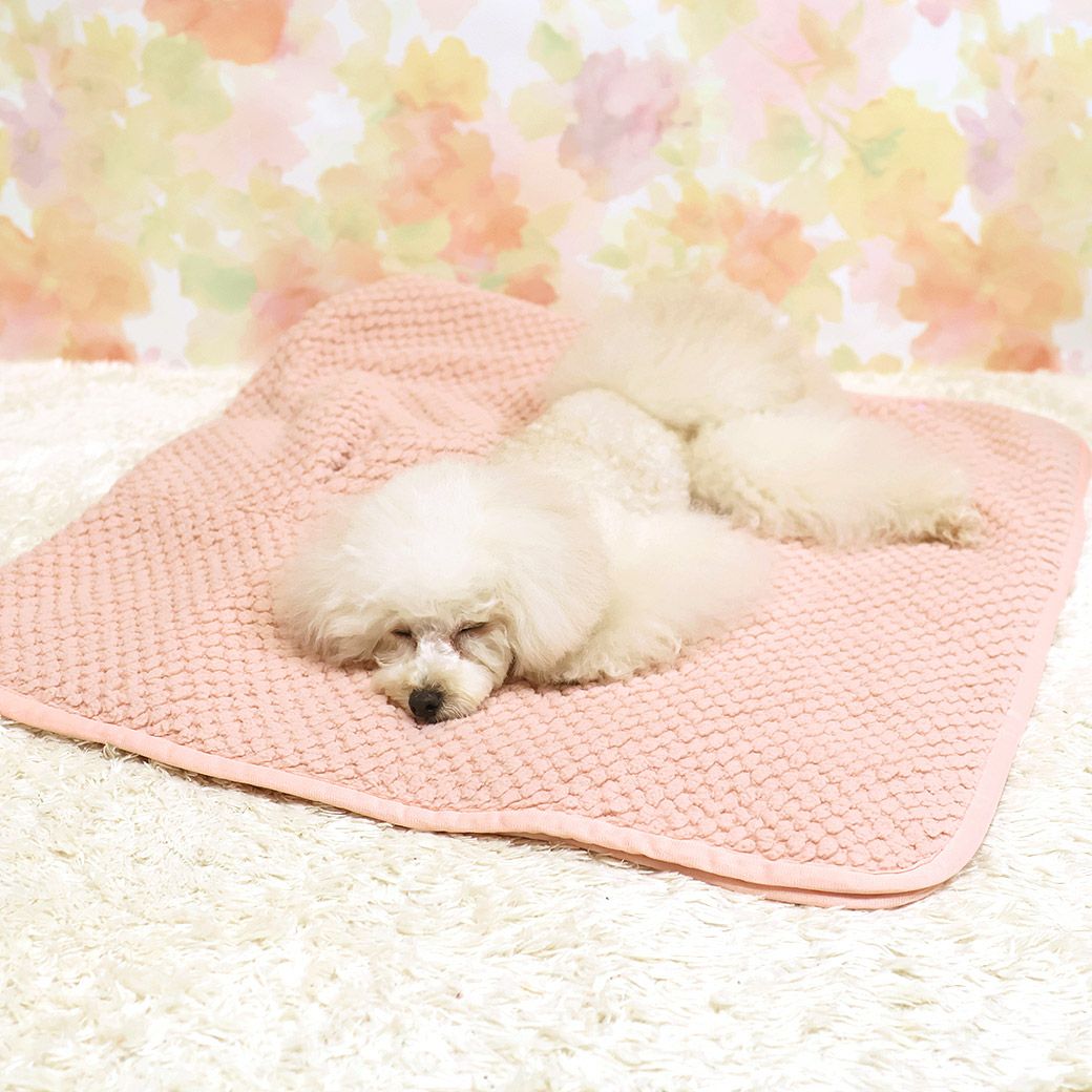 トイプー1.9kg(首17/胴29/丈22cm)のメリナちゃんもマカロンピンクを使用