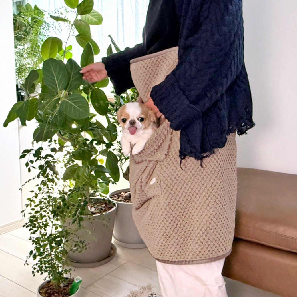 チワワ2.4kgのつぶはカフェオレを使用