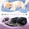 可愛くて暖かい最高のパートナー