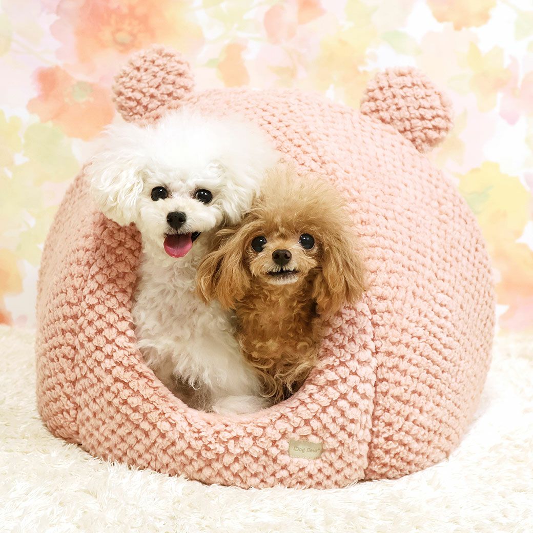 トイプー1.2kg(首15/胴26/丈19cm)のマユリちゃん【左】と1.0kg(首14/胴25/丈17cm)のミーナちゃん【右】はマカロンピンクを使用