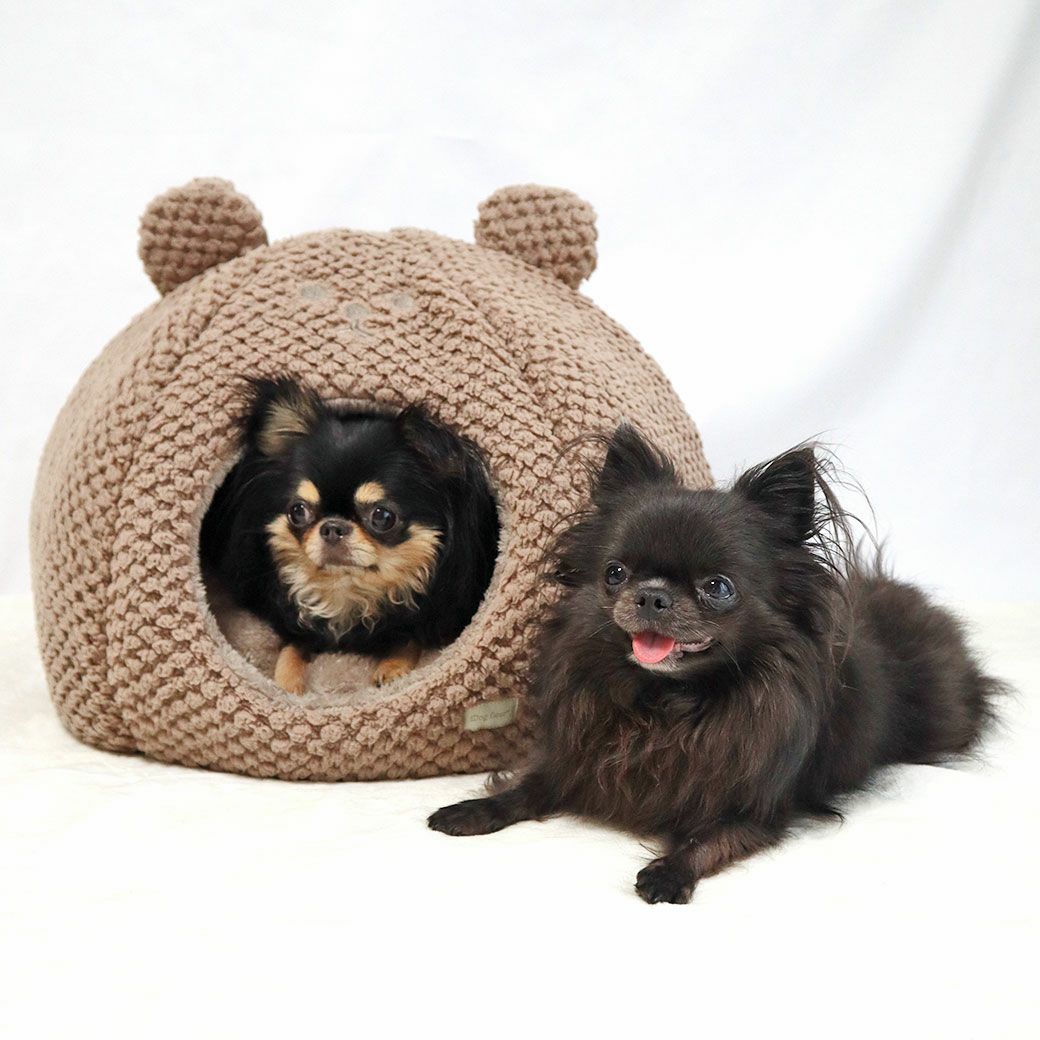 チワワ1.9kg(首19/胴29.5/丈21.5cm)のウメちゃん【左】と1.7kg(首19/胴28.5/丈21cm)の小桃ちゃん【右】はカフェオレを使用