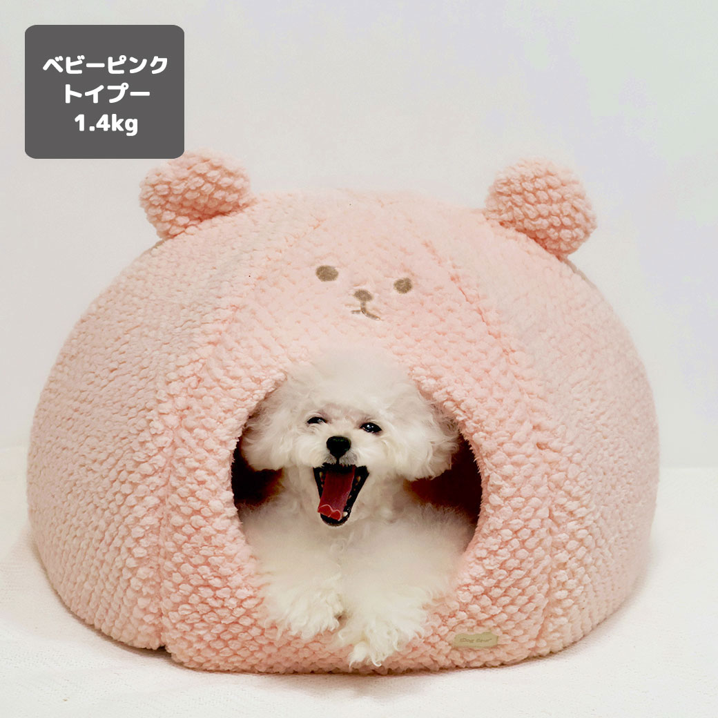チワワ1.9kg(首19/胴29.5/丈21.5cm)のウメちゃん【左】と1.7kg(首19/胴28.5/丈21cm)の小桃ちゃん【右】はカフェオレを使用
