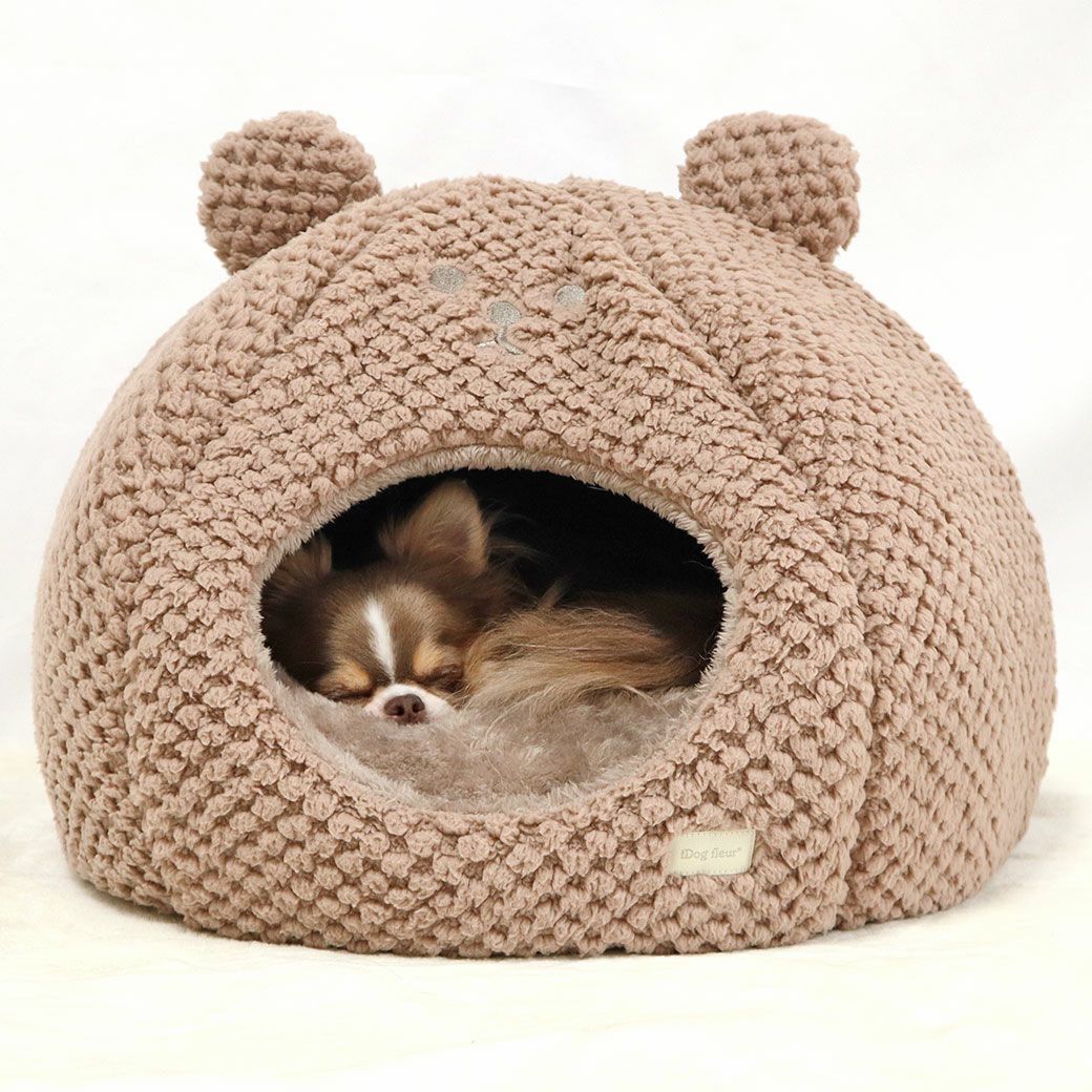 チワワ2.1kg(首19.5/胴30.5/丈22cm)の玉青ちゃんもカフェオレを使用