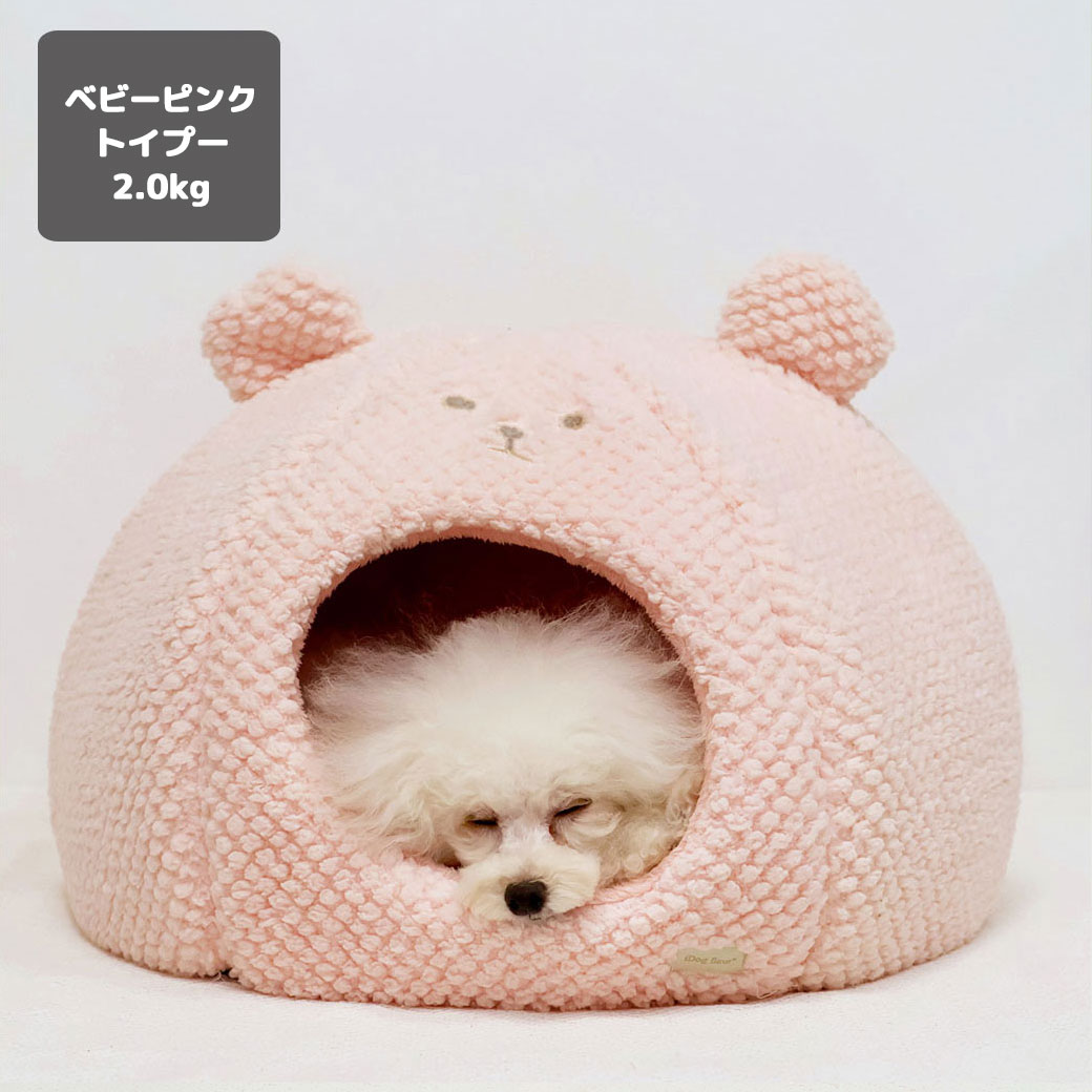 サイズ表