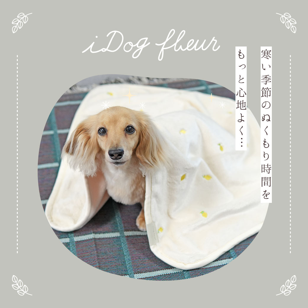 IDOG&ICATiDogfleurケーブルニットブランケットアイドッグ
