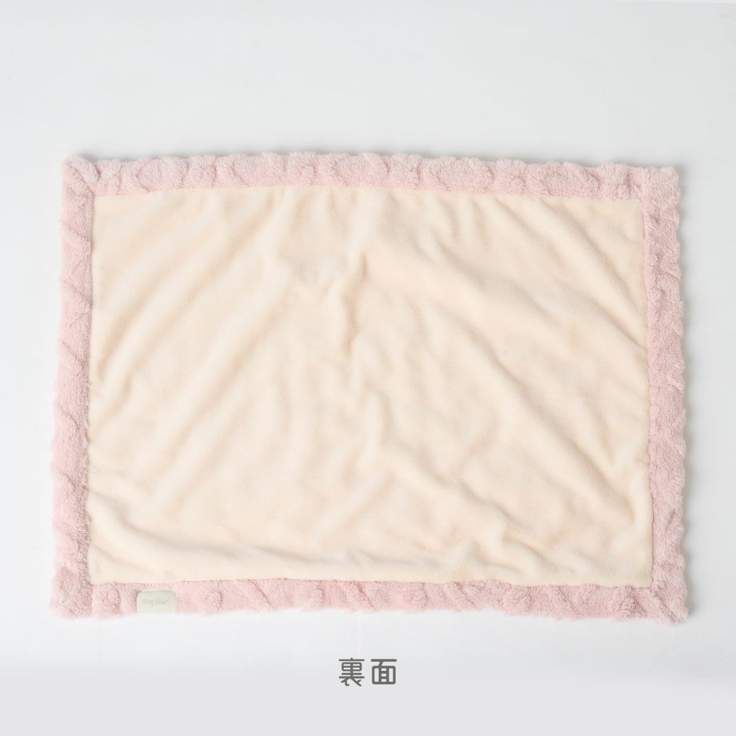 裏面