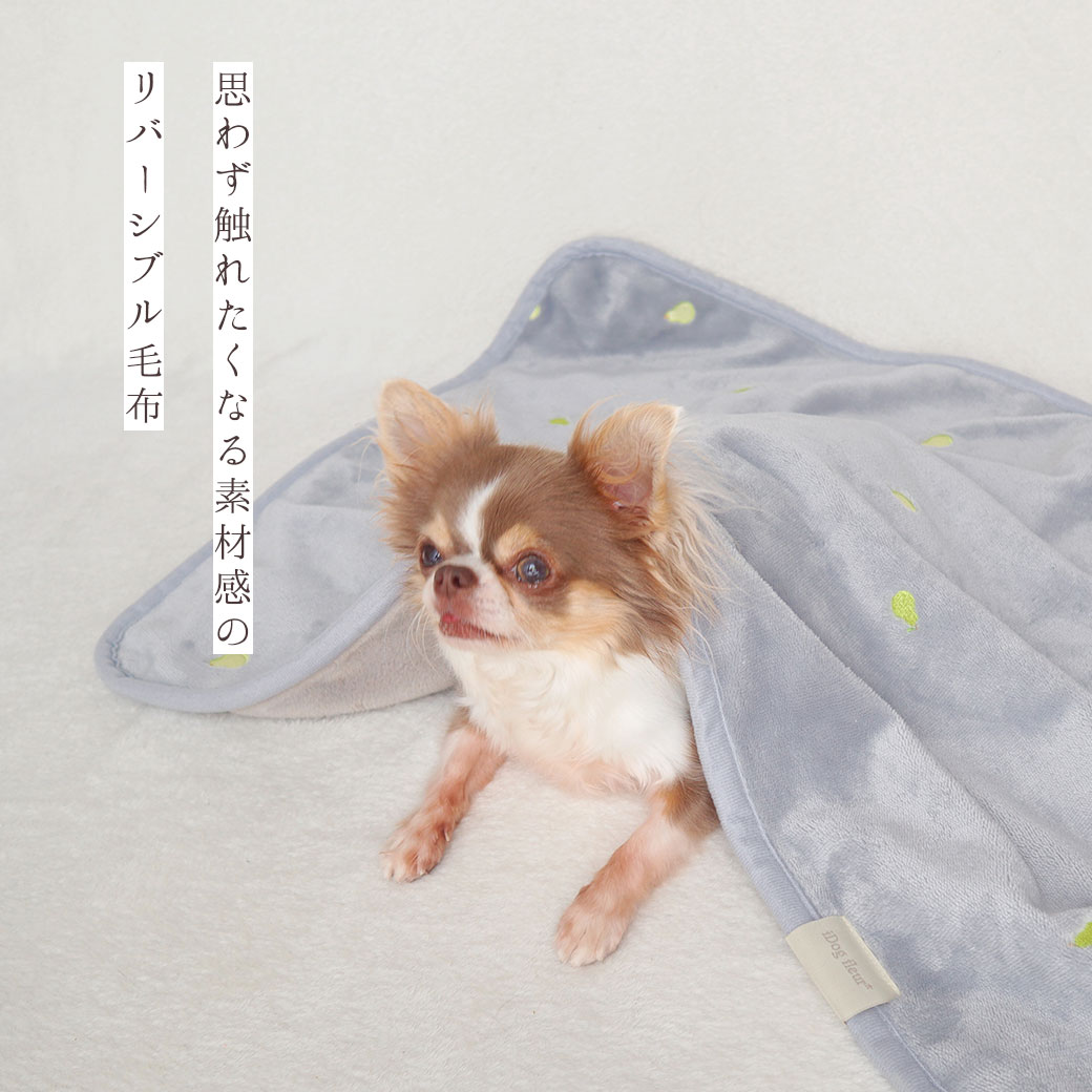 女の子のかわいいがぎゅっと詰まったときめきのひとしなを