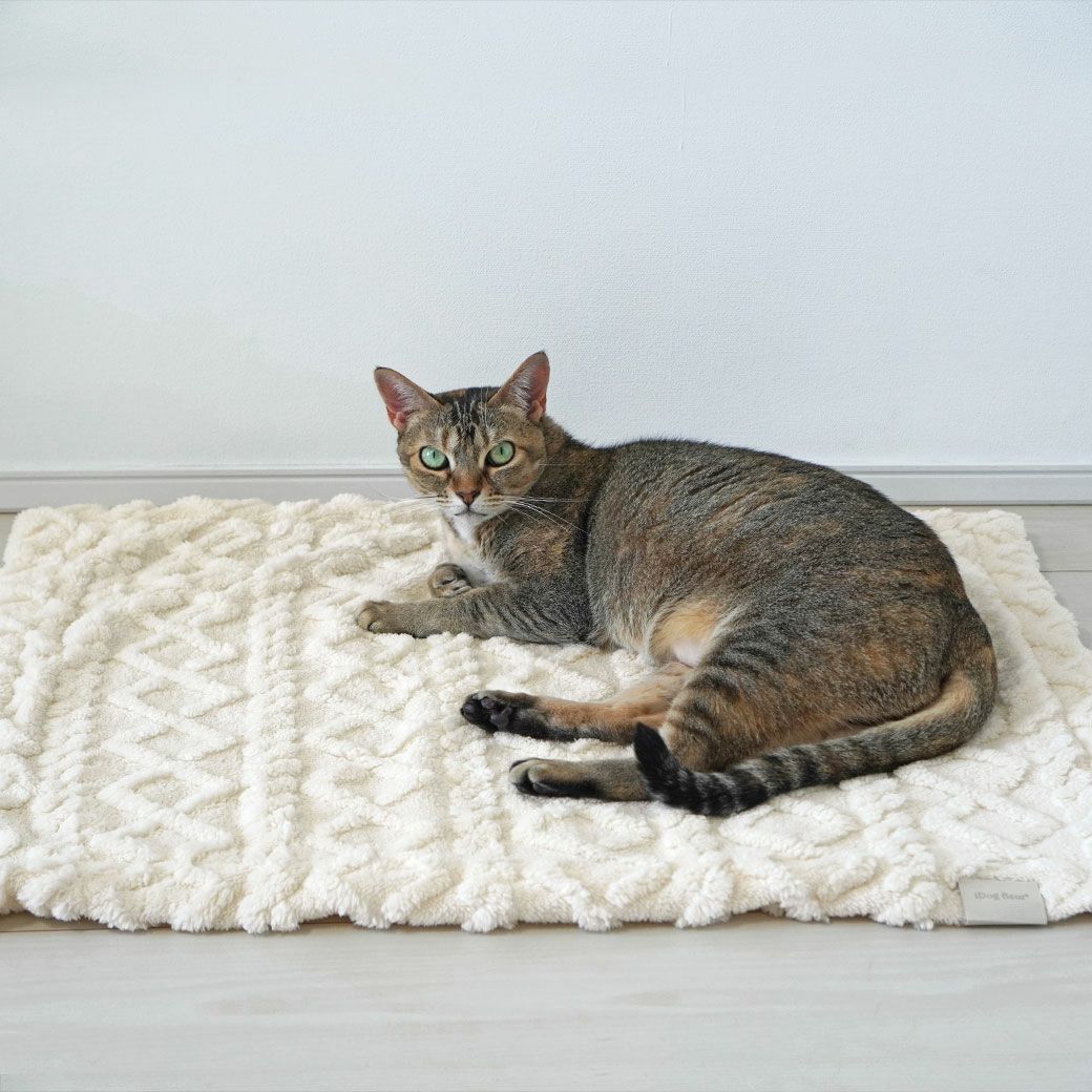 MIX4.5kg(首21/胴36/丈34cm)のニコちゃんはアイボリーを使用