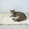 MIX4.5kg(首21/胴36/丈34cm)のニコちゃんはアイボリーを使用