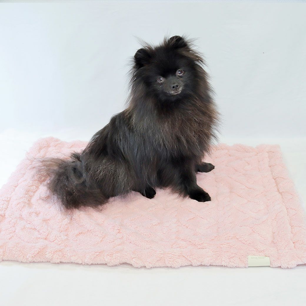 ポメラニアン2.4kg(首19/胴30/丈26cm)のはちみつちゃんはピンクを使用