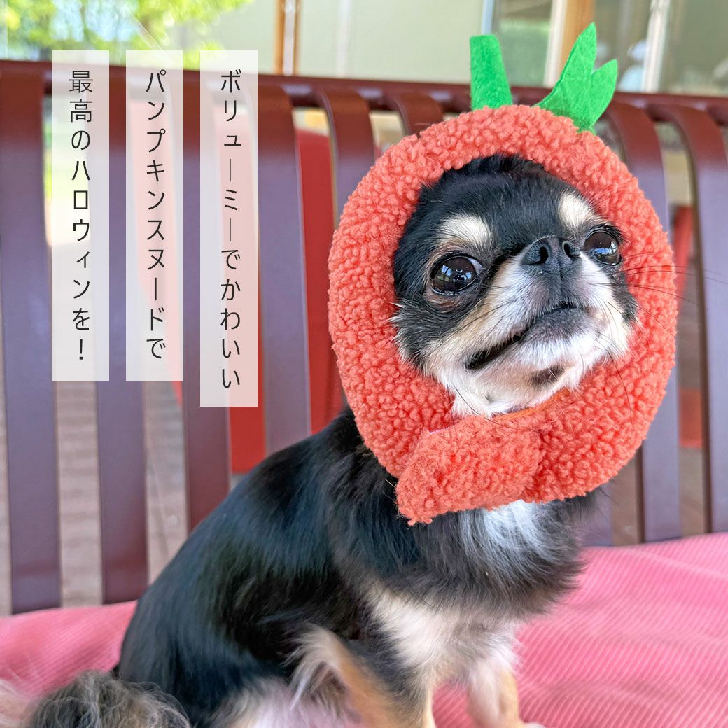 iDogパンプキンスヌードアイドッグ