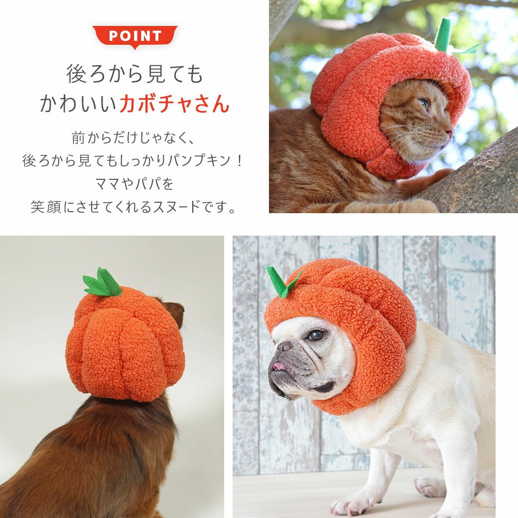 後ろから見てもかわいいカボチャさん！