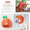 後ろから見てもかわいいカボチャさん！