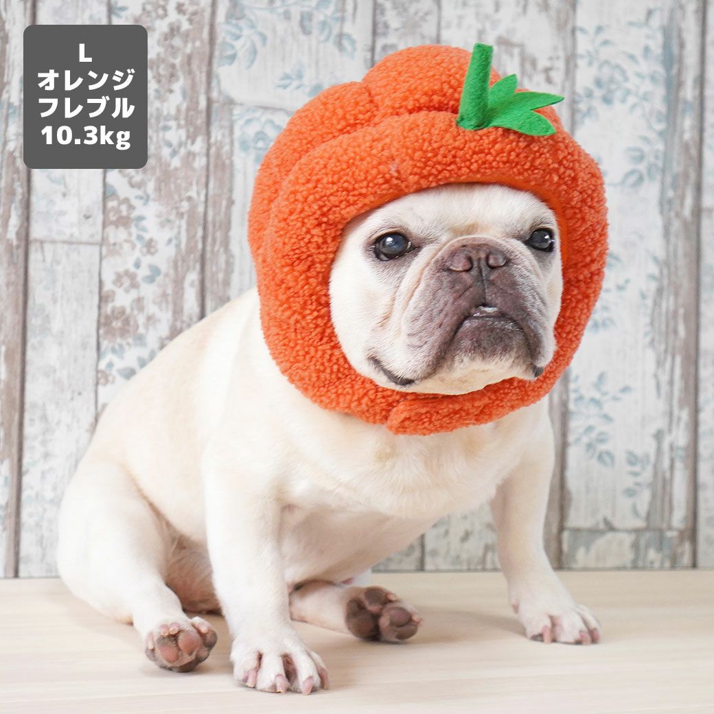 フレブル10.3kg(首38/胴56/丈34cm)のブランくんはオレンジのLを着用