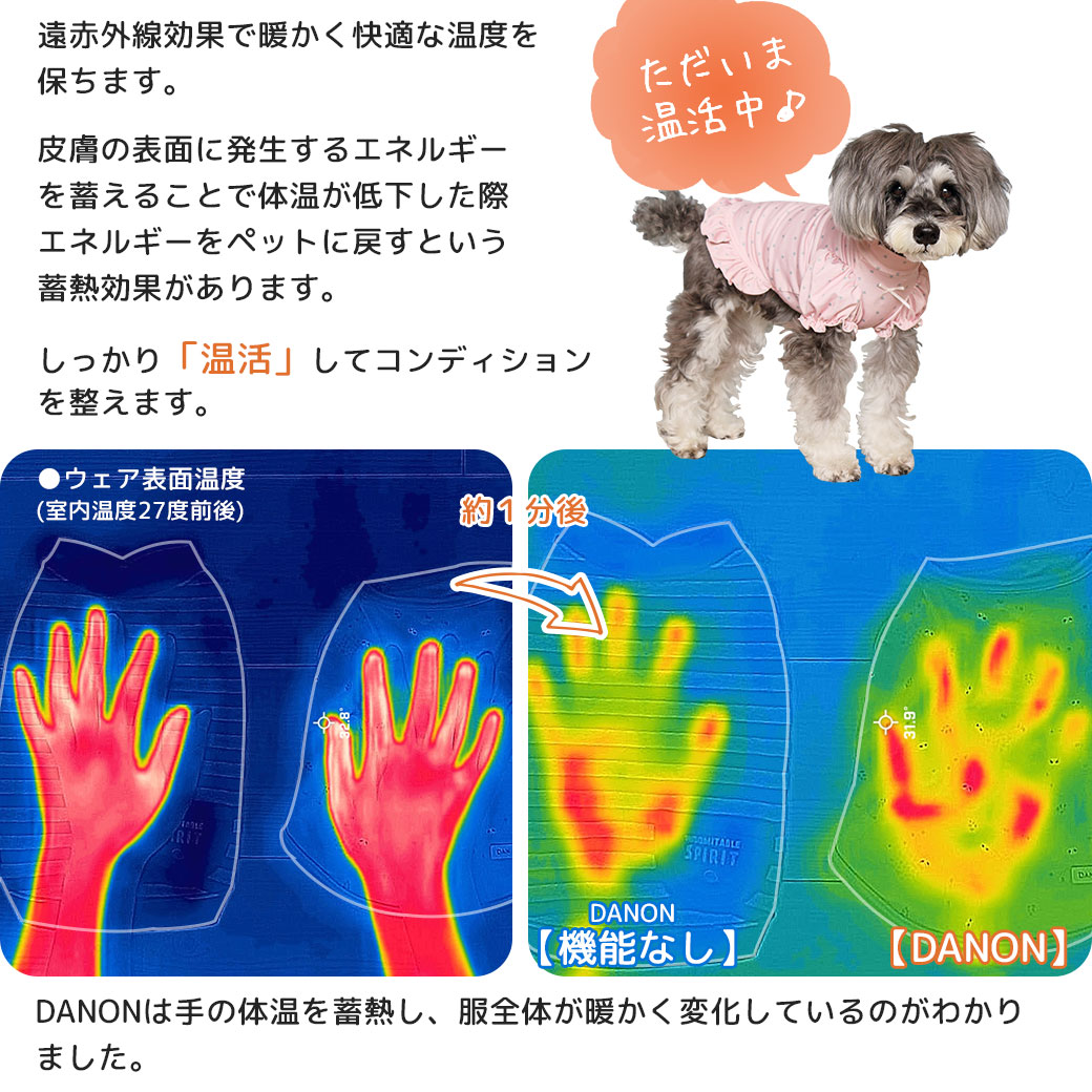 毎日着たくなる愛されドッグウェア