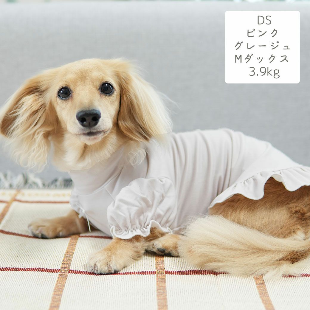 ミニチュアダックス3.9kg(首25/胴37/丈31cm)のクムちゃんはピンクグレージュのDSを着用