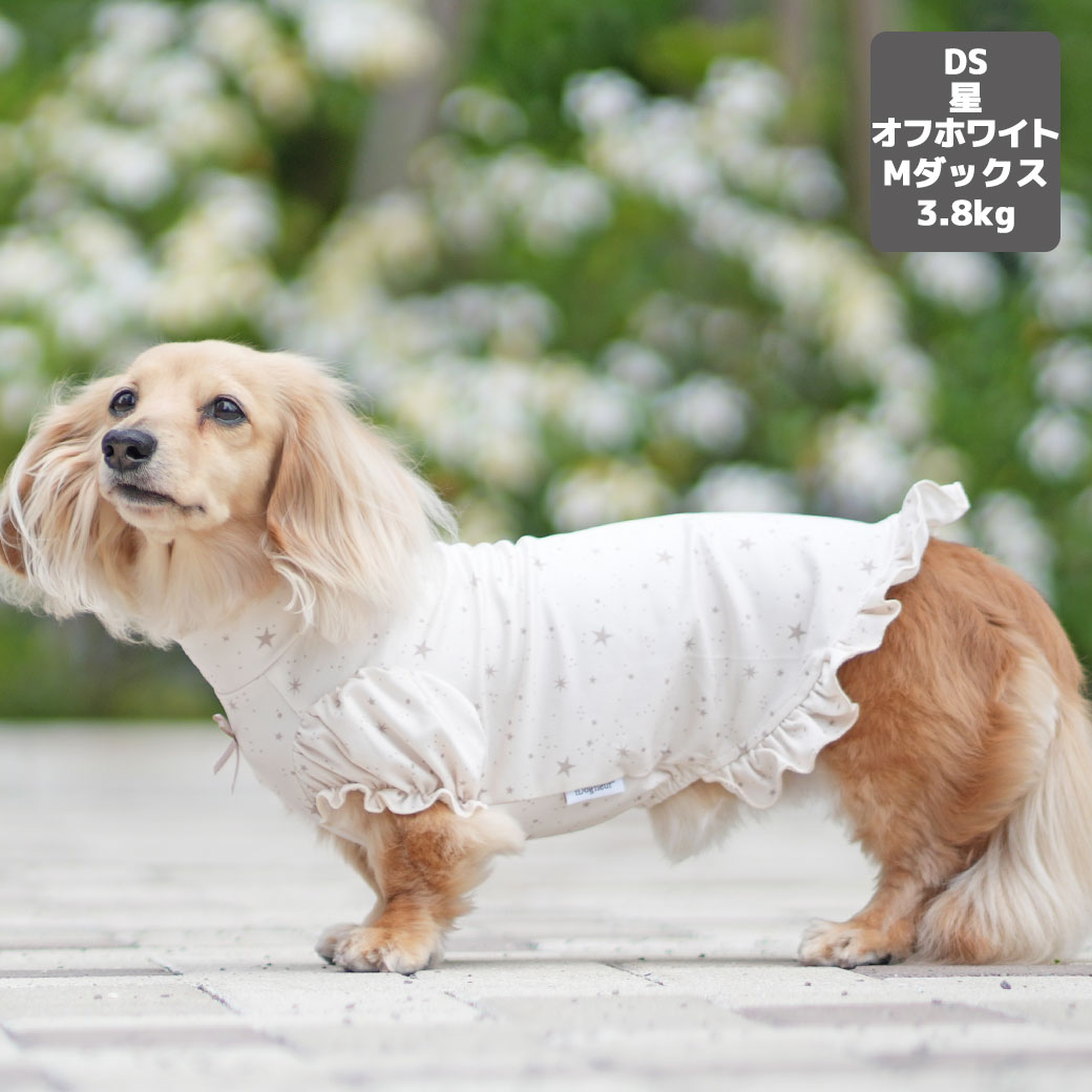 ミニチュアダックス3.9kg(首25/胴37/丈31cm)のクムちゃんはピンクグレージュのDSを着用